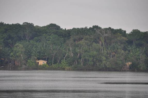 Paisagem de muita mata, água e ilhas no ferry entre Belém e Marajó - PA